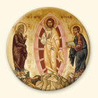 Transfiguration: A