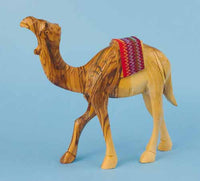 Camel with Red Saddle